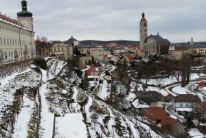 From Prague: Half-Day Coach Tour to Kutná Hora