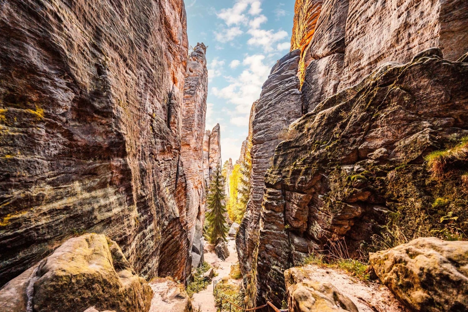 A partir de Praga: Caminhada, castelo e cervejaria no Paraíso da Boémia