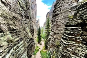 A partir de Praga: Caminhada, castelo e cervejaria no Paraíso da Boémia