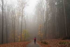 Desde Praga: ruta de senderismo por los valles ocultos del Paraíso de Bohemia
