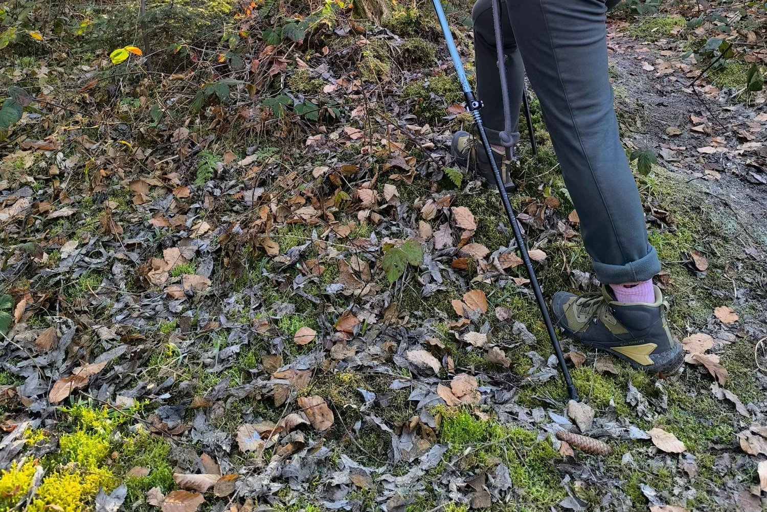 A partir de Praga: Caminhada pelas belezas de Kokořín