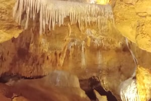 From Prague: Koněprusy Caves and Bohemian Glassworks Tour