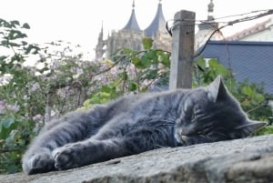 From Prague: Kutná Hora, Bone Church & Folk Museum Tour