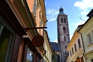 From Prague: Kutná Hora, Bone Church & Folk Museum Tour