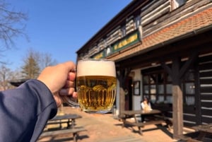 From Prague: Kutná Hora, Bone Church & Folk Museum Tour