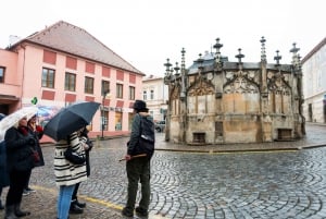 From Prague: Kutná Hora Day Excursion with Bone Church