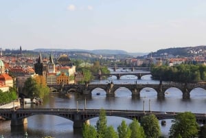 Fra Praha: privat dagstur til Karlovy Vary og Moser Glass