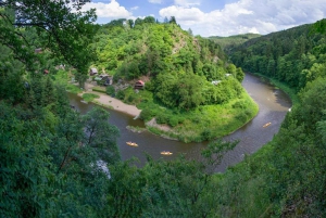 Fra Praha: Sazava-elven kanodagstur for alle nivåer