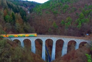 From Prague: Sazava River Canoe Day Trip for All Levels