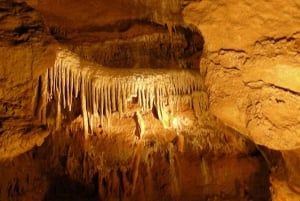 Vanuit Praag: Kleine groep Koneprusy Grotten & Kasteel Karlstejn