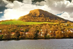 Prahasta termiseen kylpylään ja boutique-viinitilaan