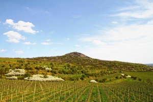 Prahasta termiseen kylpylään ja boutique-viinitilaan