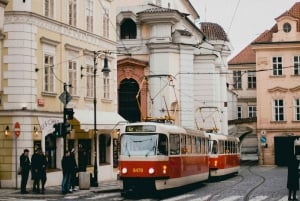 Vienna: Prague Full-Day Guided Tour