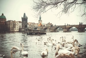 Z Wiednia: całodniowa wycieczka do Pragi