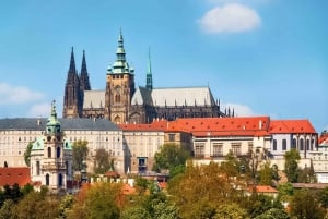 Całodniowa prywatna wycieczka po Pradze