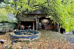 Gastronomisk dagsutflykt: lokal mat, vin, öl och slott