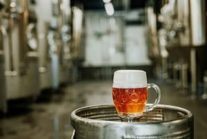 Gastronomisk dagsutflykt: lokal mat, vin, öl och slott