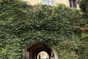 Gastronomisk dagsutflykt: lokal mat, vin, öl och slott