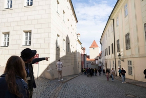 Guided Tour of Prague Castle with Ticket and Transport