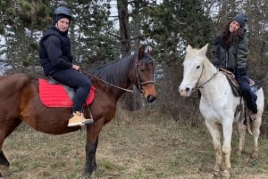 Horseback riding tour near Prague