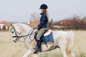 Horseback riding tour near Prague