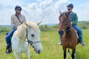 Horseback riding tour near Prague