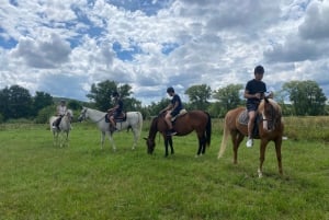 Horseback riding tour near Prague