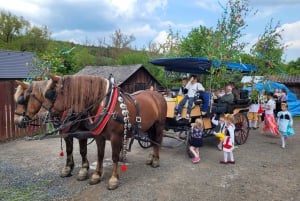 Karlštejn castle by horse carriage