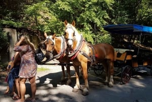 Karlštejn castle by horse carriage