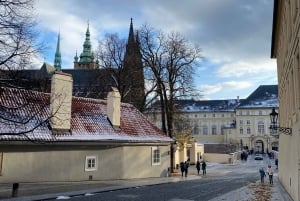 Tour privado del Castillo de Praga con Klara