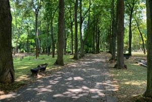 Operation Anthropoid in Detail with Lidice Village
