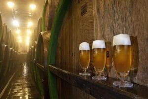 Pilsner Brewery & Nizbor Glass Factory Combination Tour