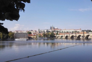 Architecturale rondleiding van 3 uur door Praag