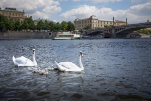 Prague: 3–Hour Castle Grounds Walking Tour and River Cruise