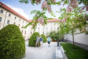Prague: 3–Hour Castle Grounds Walking Tour and River Cruise