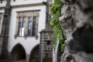 Prague: 3–Hour Castle Grounds Walking Tour and River Cruise