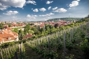 Prague: 3–Hour Castle Grounds Walking Tour and River Cruise