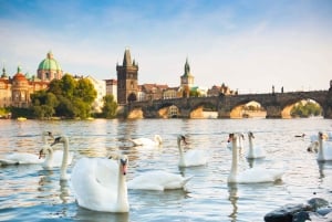 Praga: tour guidato della città di 3 ore