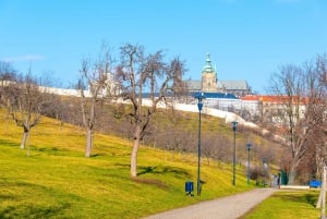 Prague: 4-Hour Segway and Scooter Tour with Lunch and Drinks