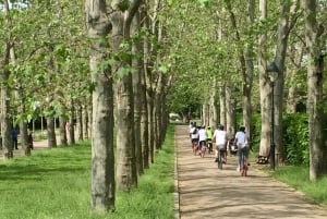 Praga 'ALL-IN-ONE' - grande tour