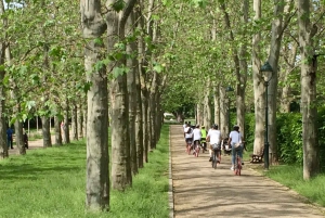 Prags 'ALL-IN-ONE' City E-Bike Tour