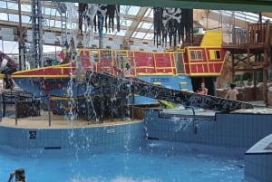 Praga: Biglietto per il parco acquatico interno/esterno Aquapalace