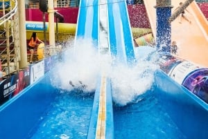 Praga: Biglietto per il parco acquatico interno/esterno Aquapalace