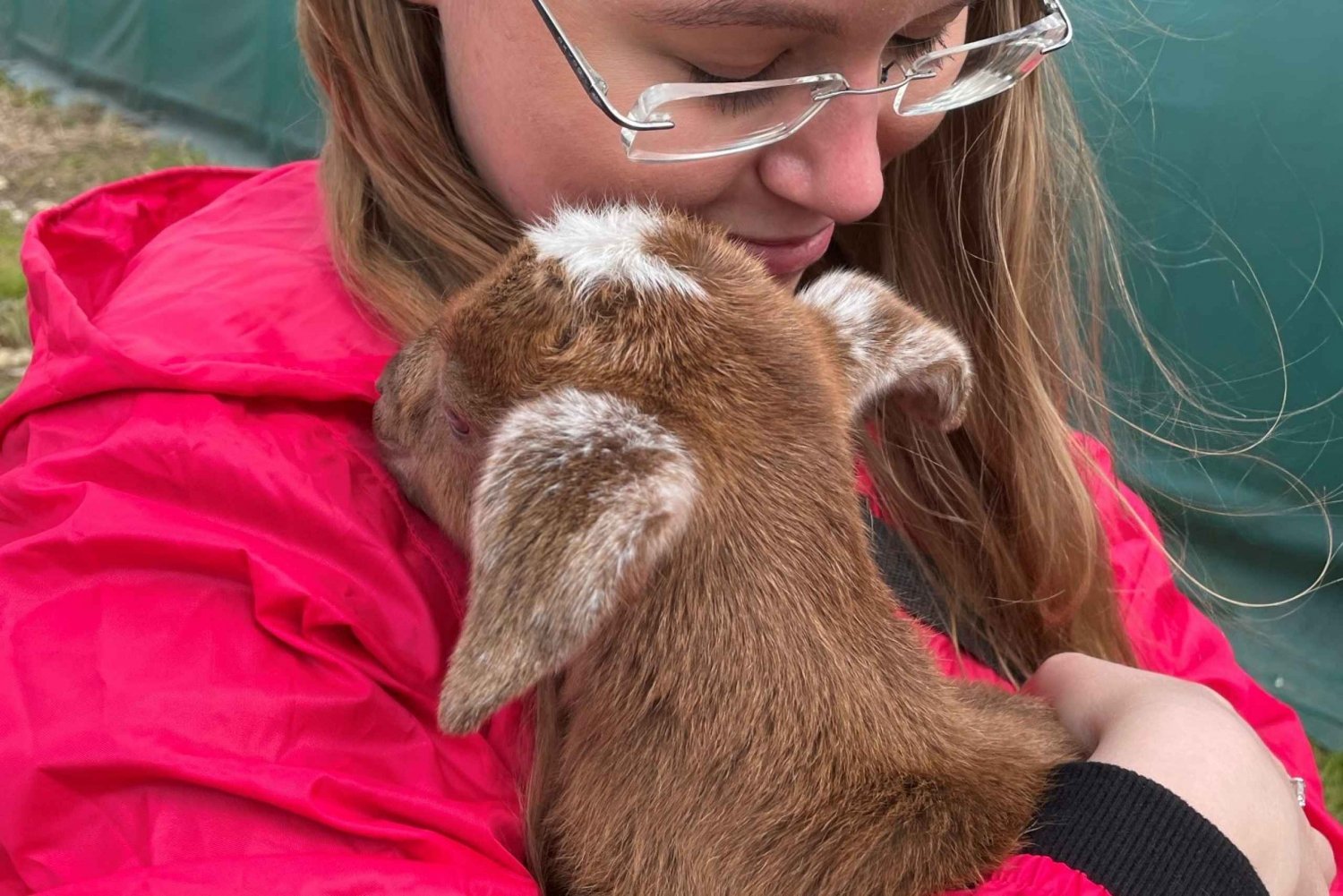 Bohemian Uplands: Garnet panning, Farm & Local Lunch&Beer