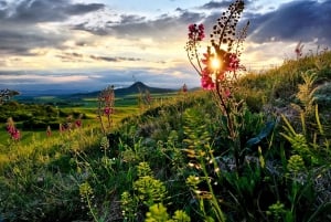 Bohemian Uplands: Garnet panning, Farm & Local Lunch&Beer