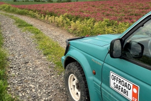 Bohemian Uplands: Garnet panning, Farm & Local Lunch&Beer