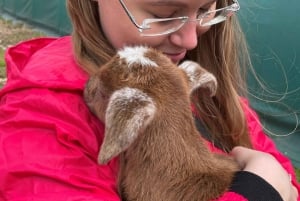 Bohemian Uplands: Garnet panning, Farm & Local Lunch&Beer