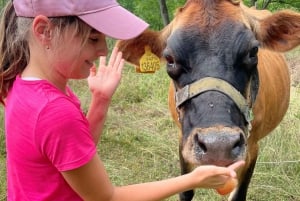 Bohemian Uplands: Garnet panning, Farm & Local Lunch&Beer