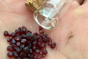 Bohemian Uplands: Garnet panning, Farm & Local Lunch&Beer