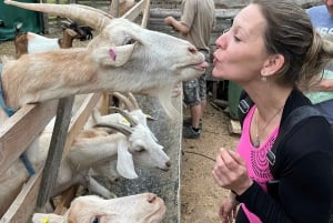 Bohemian Uplands: Garnet panning, Farm & Local Lunch&Beer